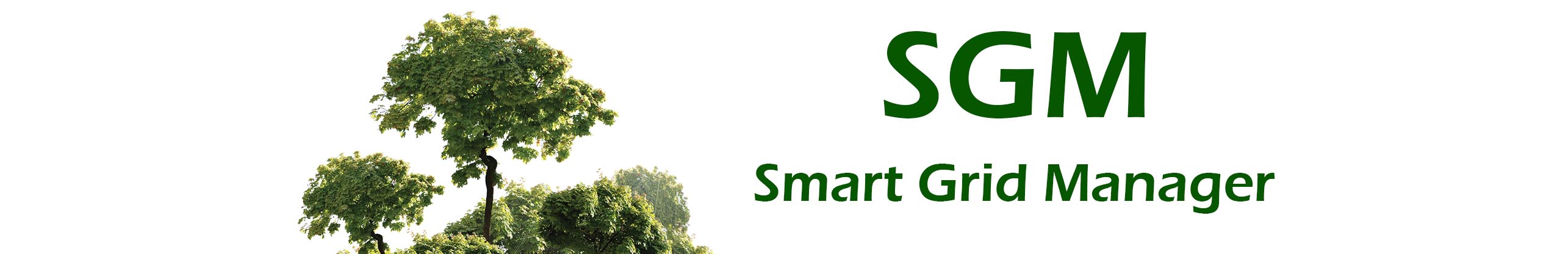 SGM-Energy (Smart Grid Manager)